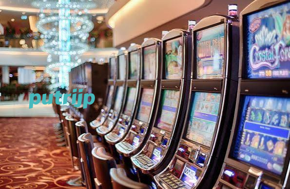 putrijp App putrijp App